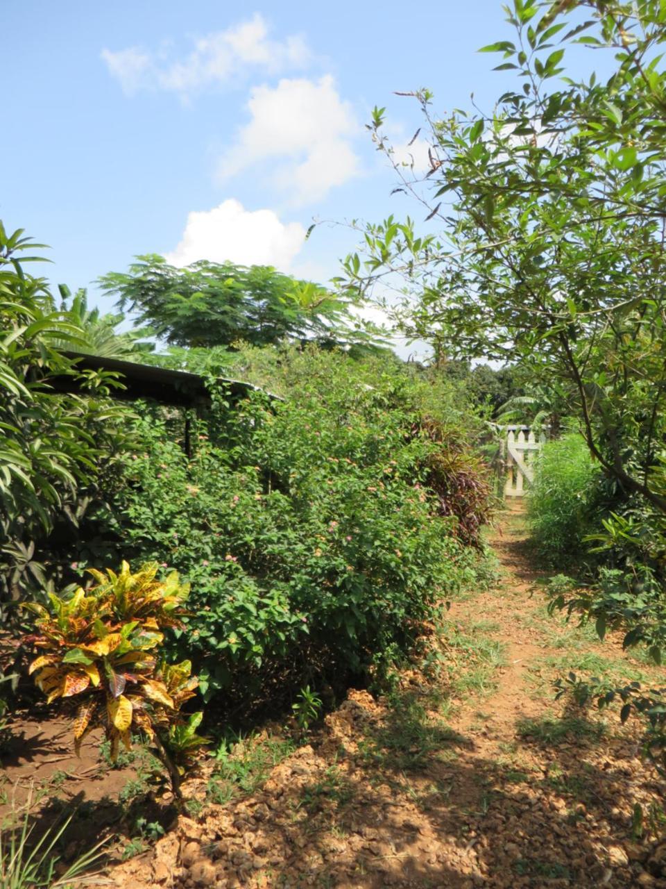 Bahati Diani House Glamping Playa de Diani Exterior foto