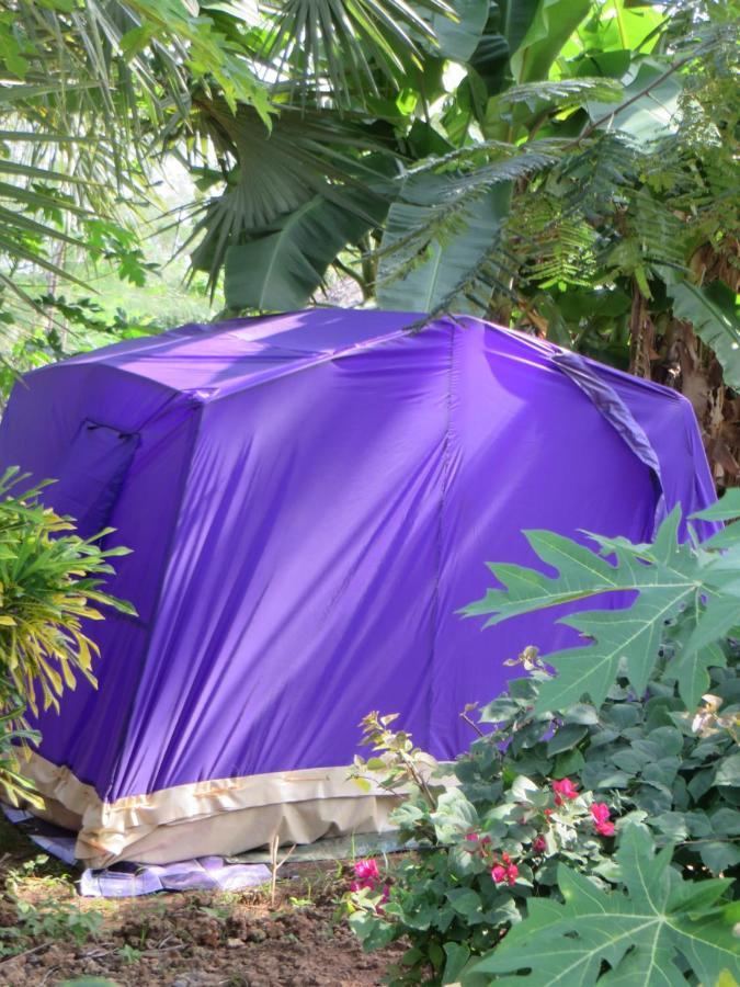 Bahati Diani House Glamping Playa de Diani Exterior foto