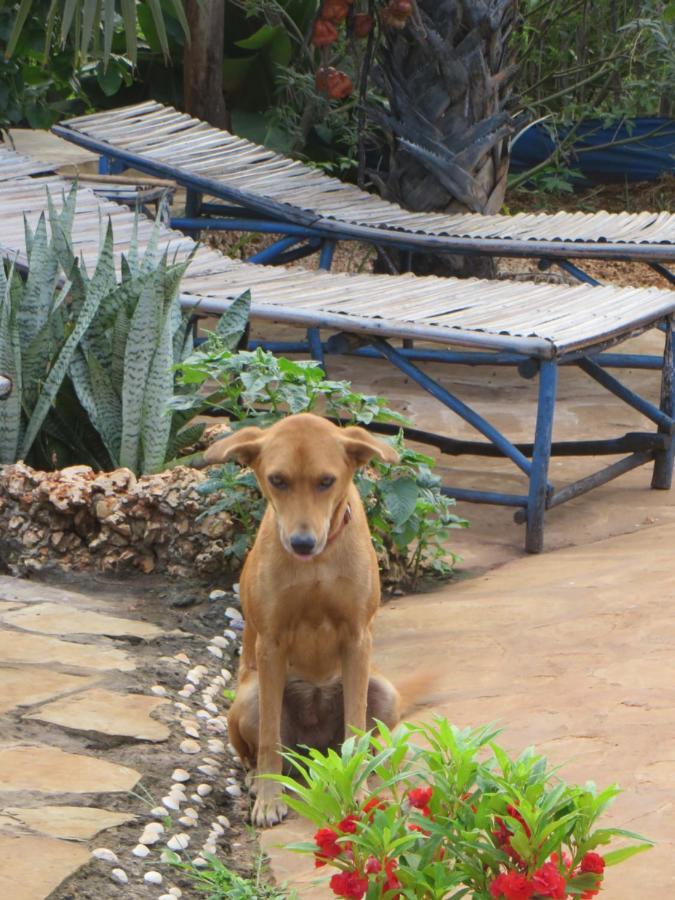 Bahati Diani House Glamping Playa de Diani Exterior foto